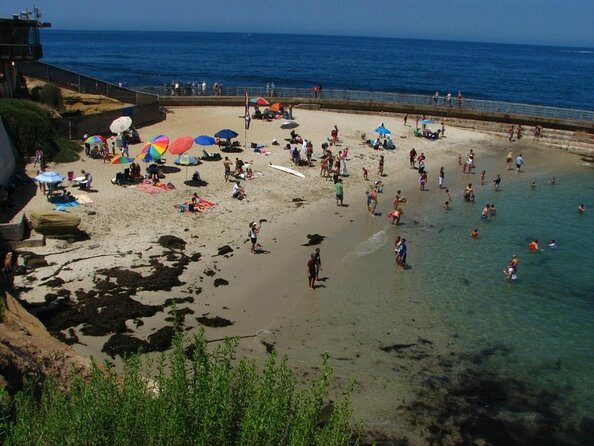 1.5 Hour Walking Tour from La Jolla in San Diego - Key points to know before booking