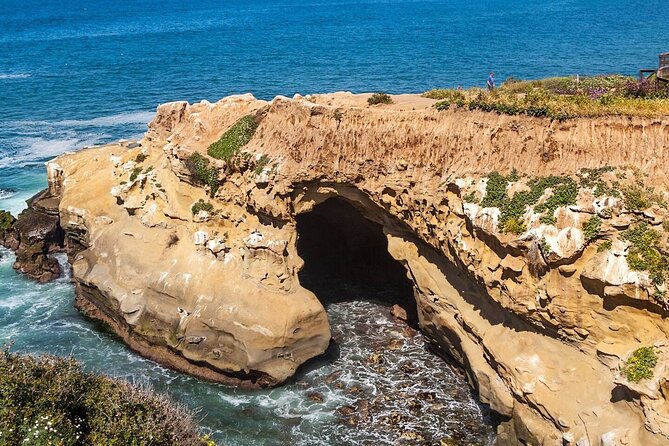 1.5 Hour Walking Tour from La Jolla in San Diego - Why La Jolla Cove makes a good walking tour setting