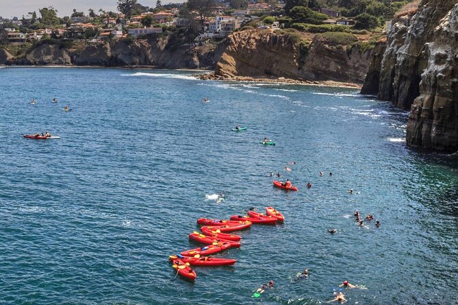 1.5 Hour Walking Tour from La Jolla in San Diego - Is the price fair for what you receive?