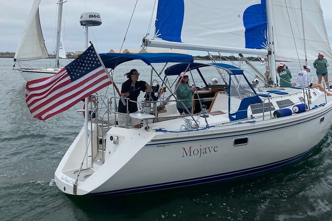 2-Hour Private Sailing Experience in San Diego Bay - Sea lions, pelicans, and the bay’s wildlife