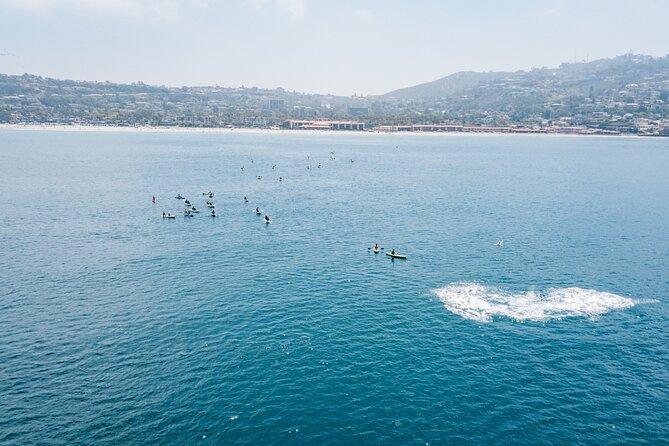 2 Hour Whale Watching Kayak Tour for Two - La Jolla start: check-in before the beach
