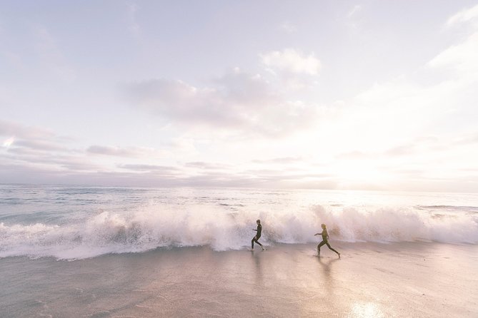 A Local’s Guide to La Jolla’s Sights: A Self-Guided Urban Stroll - Finishing near Sunny Jim Sea Cave