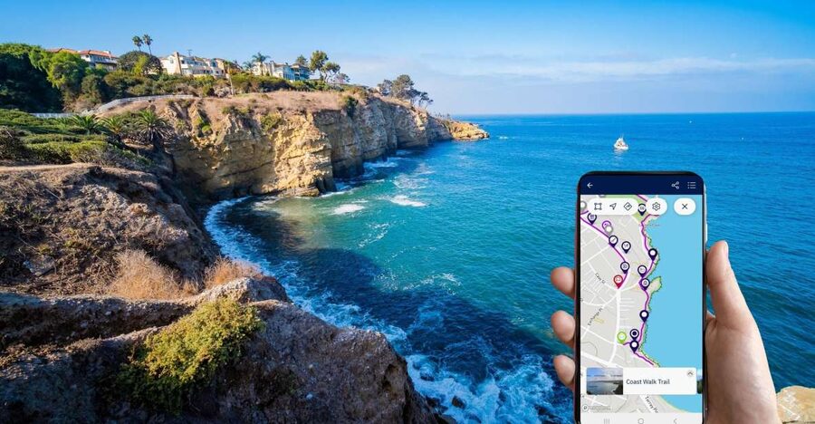 A Seaside Stroll: La Jolla's Hidden Treasures Walking Tour - Watching cormorants and seals near La Jolla Cove