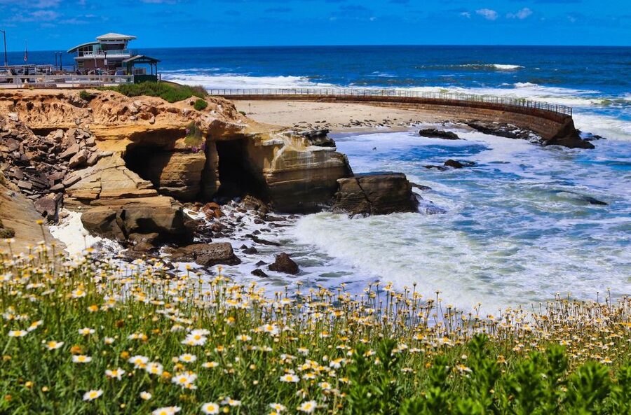 A Seaside Stroll: La Jolla's Hidden Treasures Walking Tour - Is $9 a good value for this La Jolla walk?