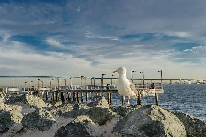 All Day San Diego Scenic Tour - What the seven-hour schedule feels like
