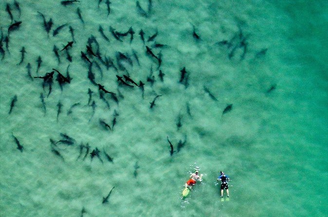 All Day Snorkel Package with Wetsuit Rental - Water conditions can make or break the day