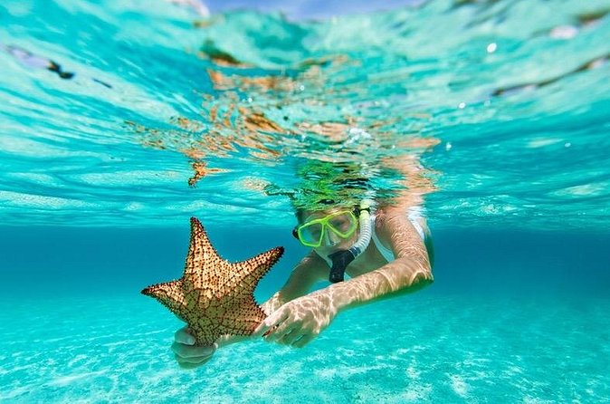 All Day Snorkel Package with Wetsuit Rental - Lockers, belongings, and the walk to the cove