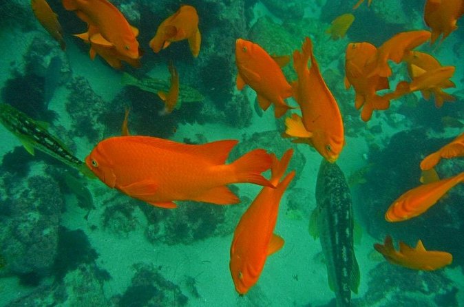 All Day Snorkel Package with Wetsuit Rental - How long should you plan for?