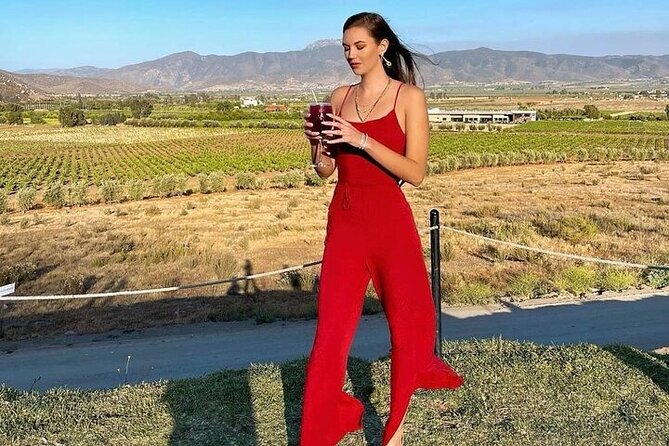 All-Inclusive Private Wine Tour in Baja - Why this Baja wine day works best as a private outing