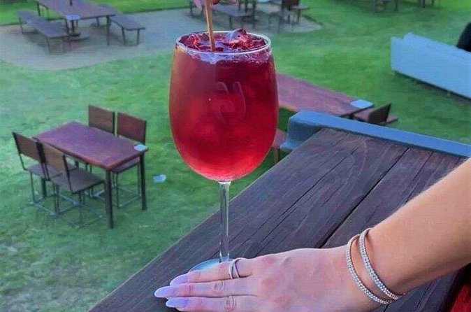 All-Inclusive Private Wine Tour in Baja - What Remy adds to the valley visit