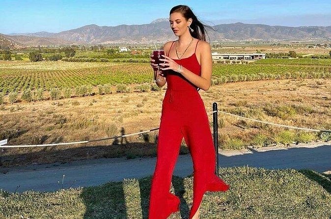All-Inclusive Private Wine Tour in Baja - Who should book this tour?