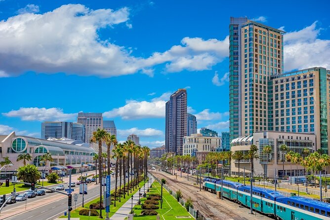 Arrival Private Transfer: San Diego Airport SAN to San Diego in Luxury SUV - A private arrival, not a sightseeing tour