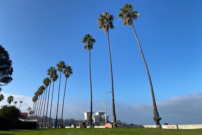 Beach Yoga in San Diego - What the Beach Adds to the Practice