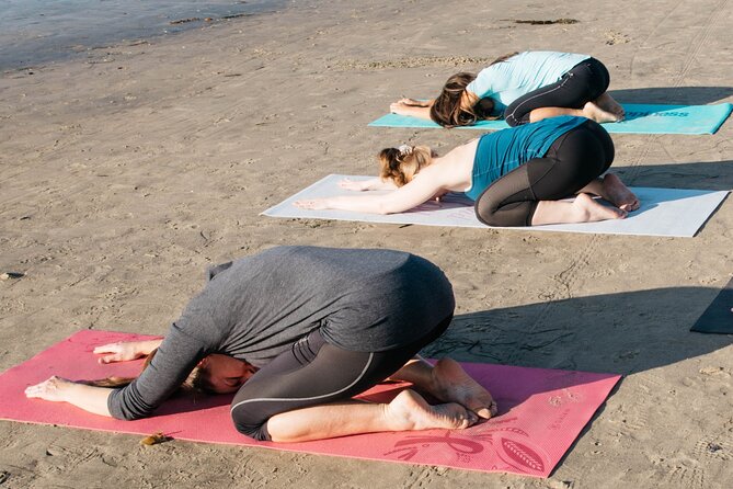 Beach Yoga in San Diego - Price and Overall Value at $45