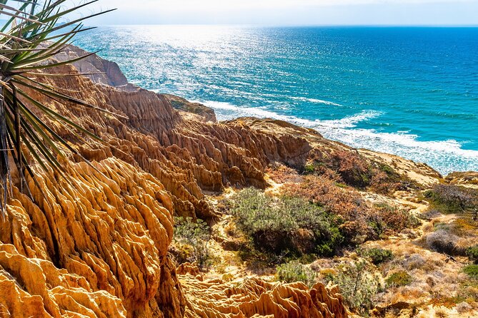 Beaches & Bluffs San Diego's Ultimate Coastal Driving Tour - What this coastal drive really offers