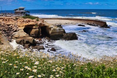 Beaches & Bluffs San Diego’s Ultimate Coastal Driving Tour