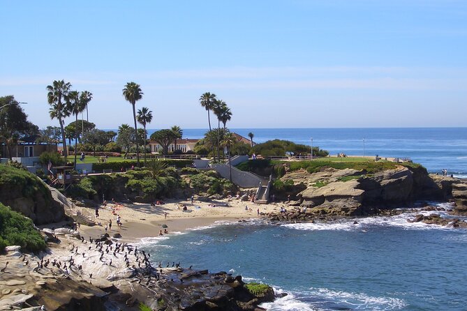 Beaches & Bluffs San Diego's Ultimate Coastal Driving Tour - Ocean Beach and San Diego’s casual side