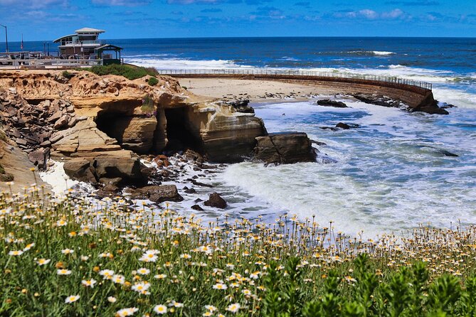Beaches & Bluffs San Diego's Ultimate Coastal Driving Tour - Starting at Torrey Pines State Beach