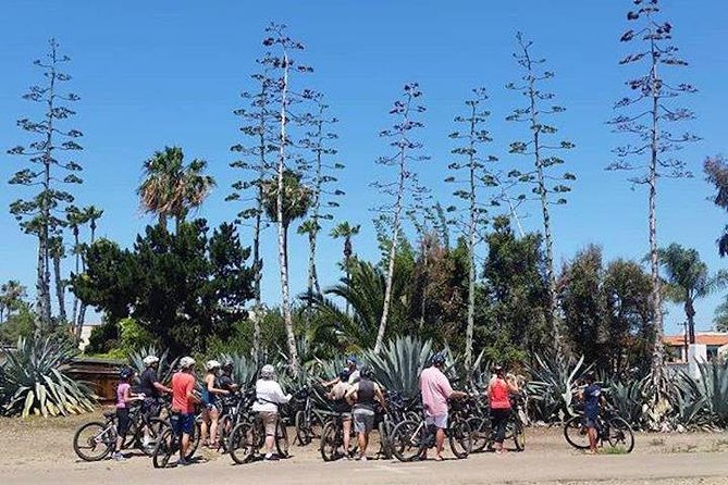 Cali Dreaming Electric Bike Tour of La Jolla and Pacific Beach - The Children’s Pool and shared shoreline