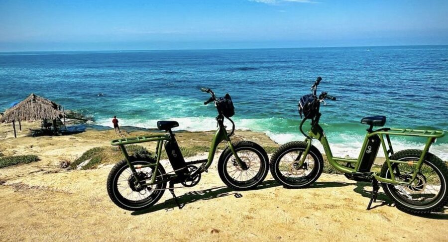 Cali Dreaming Electric Bike Tour of La Jolla & Pacific Beach - Children’s Pool and La Jolla’s shared shoreline