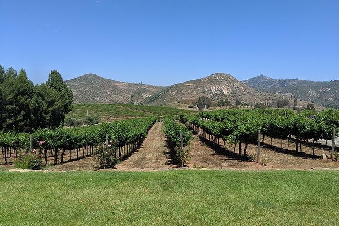 Chauffeured Adventure to Local San Diego Vineyards - Cordiano Winery adds views, Italian food, and sunset