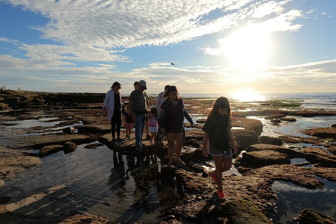 Explore San Diego Tide Pools with a Marine Biologist - Key points to know before booking