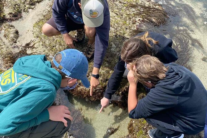 Explore San Diego Tide Pools with a Marine Biologist - Shoes, footing, and weather