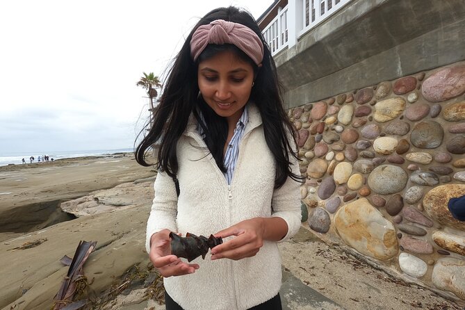 Explore San Diego Tide Pools with a Marine Biologist - Photos, questions, and what you take home