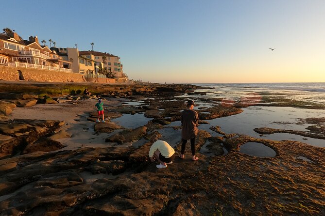 Explore San Diego Tide Pools with a Marine Biologist - Is $32 a fair price?
