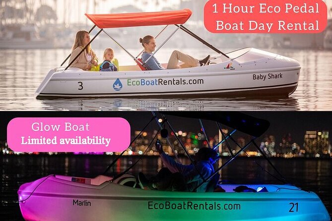 Glow Nightime Pedal Boat Rental in San Diego Bay - Key points to know before you book
