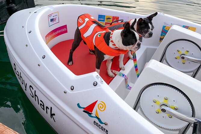 Glow Nightime Pedal Boat Rental in San Diego Bay - Is $105 good value for one hour?