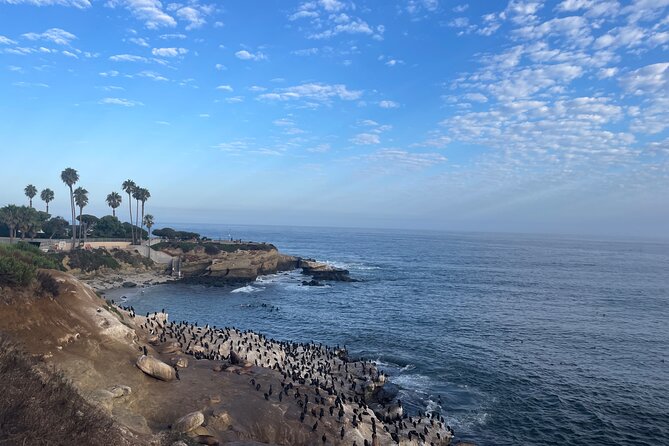 Guided Historic La Jolla Village Walking Tour - What John adds to the walk