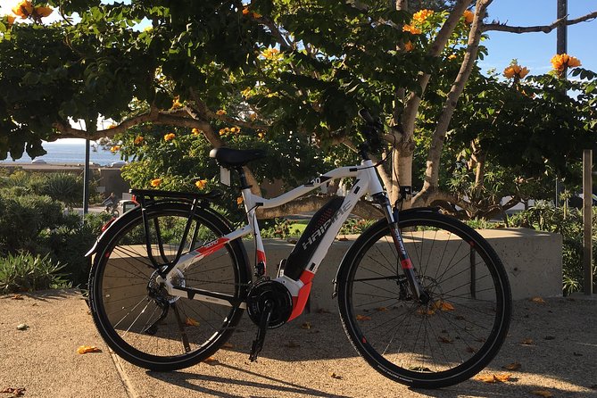 Half Day Performance eBike Rental - Value, Group Size, and Who Should Ride