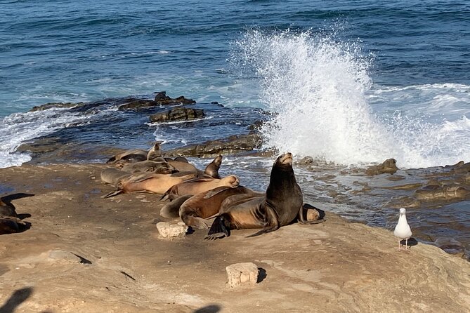 Historic La Jolla Walking Tour - A church, an intersection, and La Jolla’s changing center