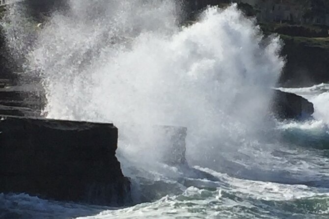 Historic La Jolla Walking Tour - La Jolla Cove brings the scenery
