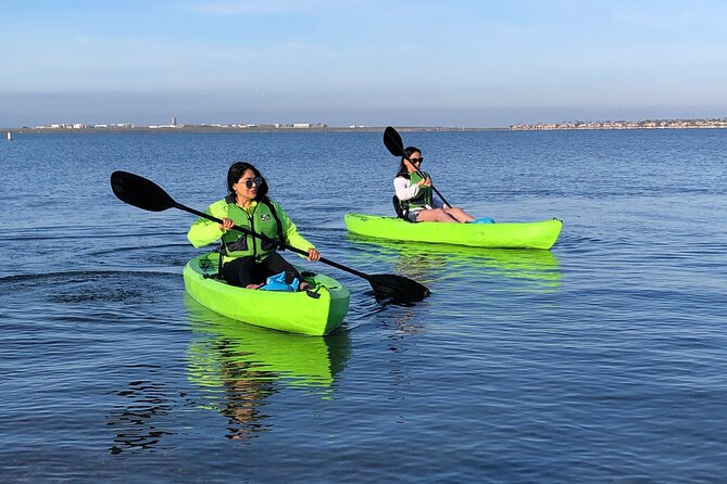 Kayak on the San Diego Bay - Why the $20 Price Works