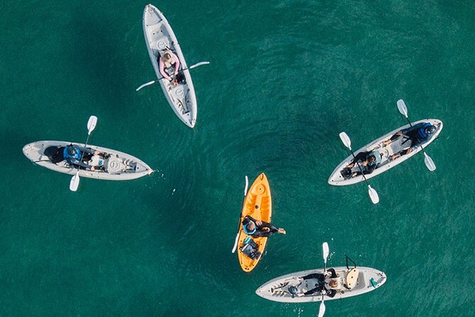 Kayak Rental for Two People in La Jolla - Why this stretch of La Jolla works so well by kayak