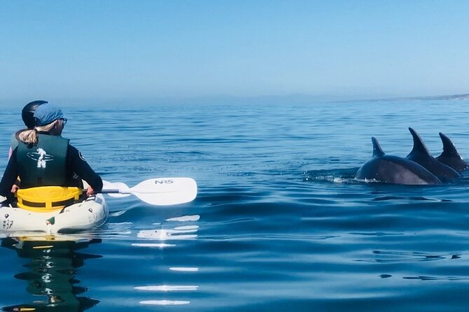 Kayak Rental for Two People in La Jolla - What to bring and how to prepare