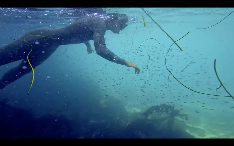 La Jolla: 2.5-Hour Kayak and Snorkel Tour - A Tour That Depends on the Ocean
