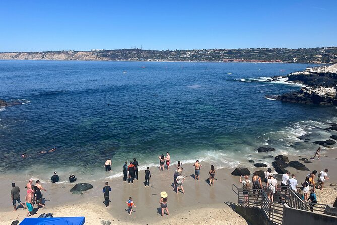 La Jolla E-Scooter Tour with Photos Included - Windansea Beach and its surf culture