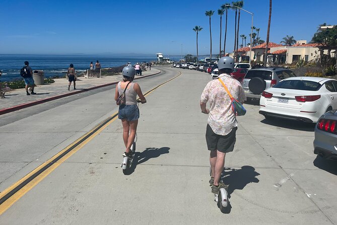 La Jolla E-Scooter Tour with Photos Included - The Children’s Pool and its sea lions