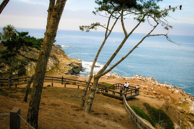 La Jolla Electric Bike Tour - Starting at Avenida De La Playa