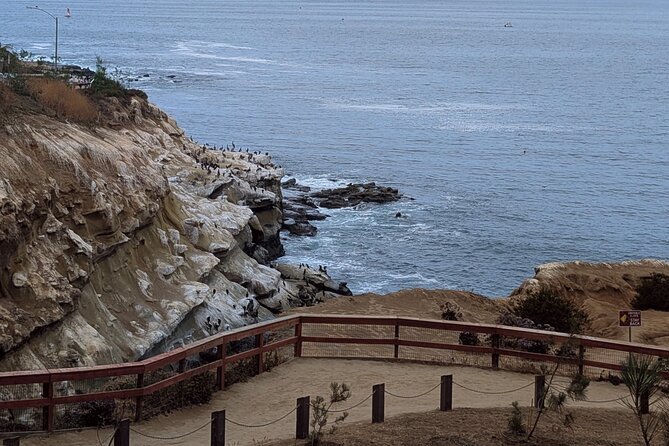 La Jolla Electric Bike Tour - Bird Rock Cove in five minutes