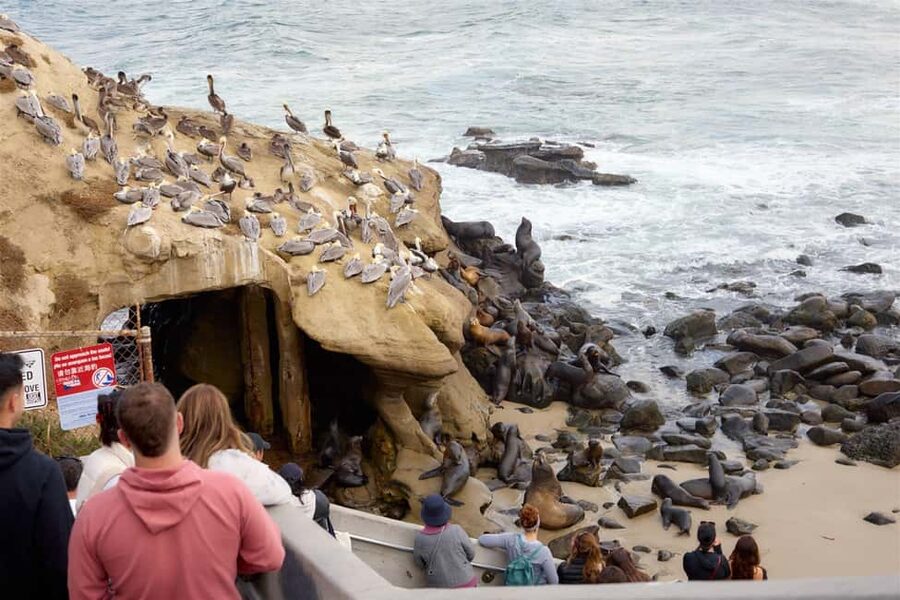 La Jolla Food & Drink Walking Tour - Sip, Savor & Sea - A gallery stop that adds more than decoration