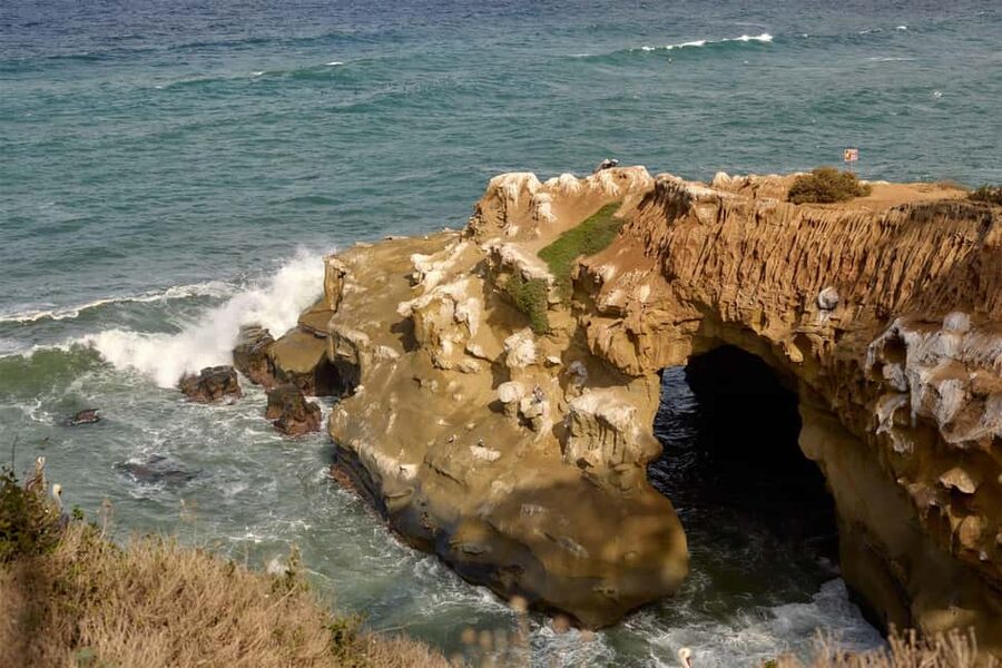 La Jolla Food & Drink Walking Tour - Sip, Savor & Sea - Cocktails and a second restaurant stop
