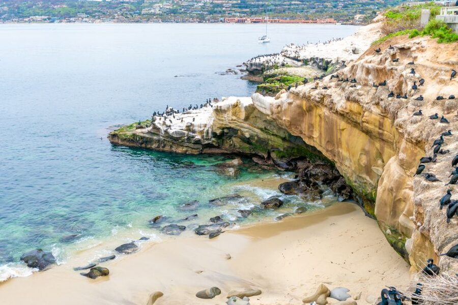 La Jolla Food & Drink Walking Tour - Sip, Savor & Sea - Starting with wine and food at La Dolce Vita