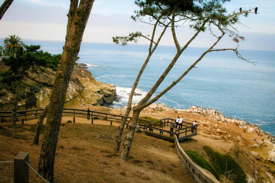 La Jolla Free fall Electric Bike Tour - Starting above the coast at Mt. Soledad