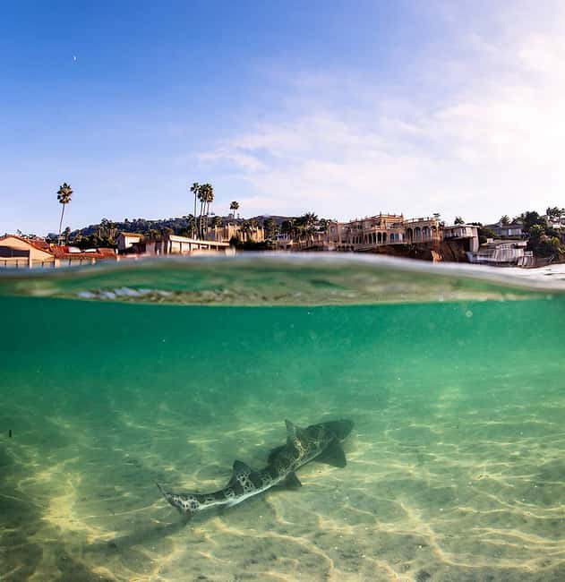 La Jolla: Full-Day Snorkel Gear Rental with Wetsuit Option - The small-shop tradeoff