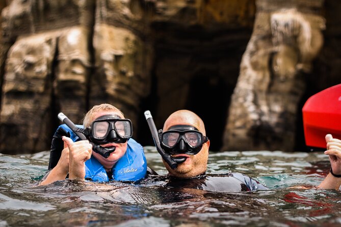 La Jolla Kayak and Snorkel Tour - Is $114 a good value?