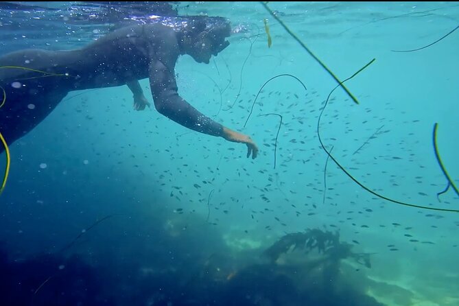 La Jolla Kayak and Snorkel Tour - What the 2.5-hour outing is like